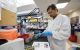 Sanjay Verma analyzes hundreds of samples each day.