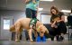 Child Life Specialist Katie Greer works with Huckleberry during the camp.