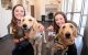Working like a dog: St. Jude Paws at Play celebrates six months of canine care