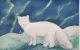 A painting of an arctic fox in a wintry setting