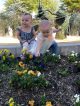 St. Jude patient Lily picking flowers with her sister