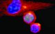 Research Highlights - Autumn 2016