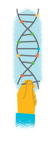 DNA art