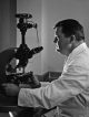 Donald Pinkel examines samples in a microscope.