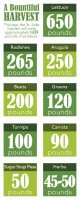 Garden infographic