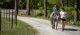 Patient Lucy riding a horse