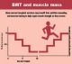 BMT and muscle mass