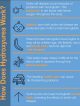 Infographic explaining how hydroxyurea works on red blood cells. Hydroxyurea keeps fetal hemoglobin levels high and reverses the effects of sickle cell disease.