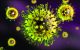 Research pinpoints crucial flu mutation