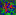 Image of neurons in color