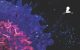 Scientific Report 2024: Translating Science into Survival