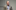 Video Archive: March 7, 2025