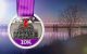 2019 10K finisher medal