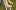 child holding crutches