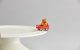 'bear hug' minis are part of the nora fleming St. Jude collection.