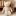 Plush Teddy Bear character from Pottery Barn Kids