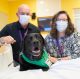 Volunteers with a dog on a bed