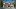 Dream Home market Lexington rendering