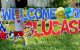 Little Lucas is 'Home from St. Jude' after a brain tumor threatened his life.