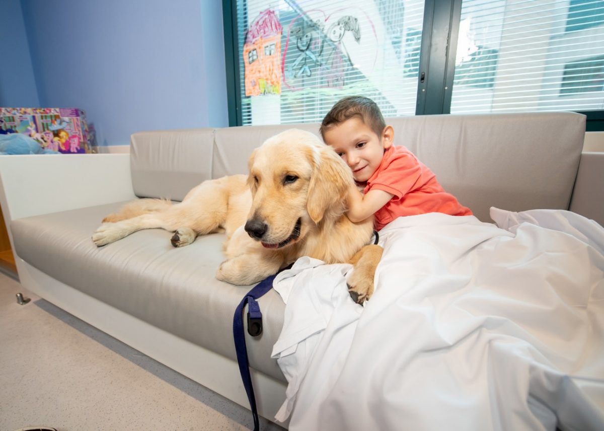 Apa Style 7th Edition Lydia M Olson Library