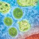 Colorized transmission electron microscopy image