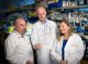 Gerard Grosveld, PHD, and lab members