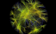 A data-driven, systems biology algorithm called NetBID