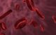 Image of red blood cells