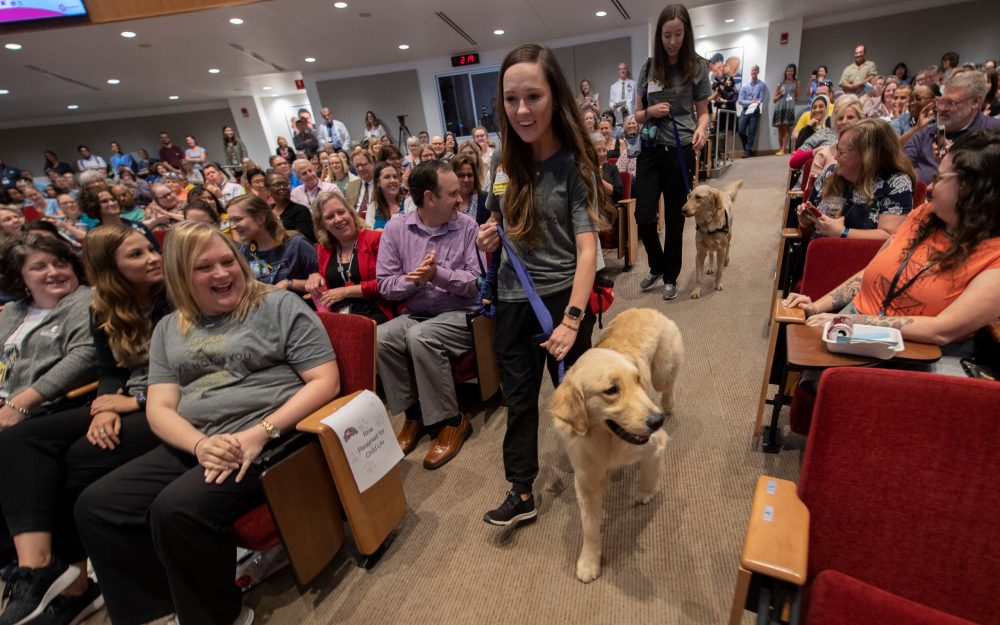 Newswise: Meet the newest employees of St. Jude Children's Research Hospital, Puggle and Huckleberry