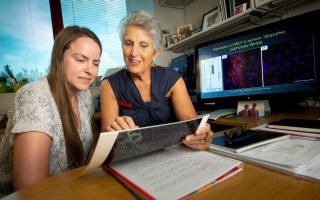 Diantha Van De Vlekkert and Alessandra D'Azzo-Grosveld, PhD, discuss a file