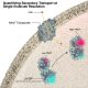 Illustration quantifying secondary transport at single-molecule resolution.