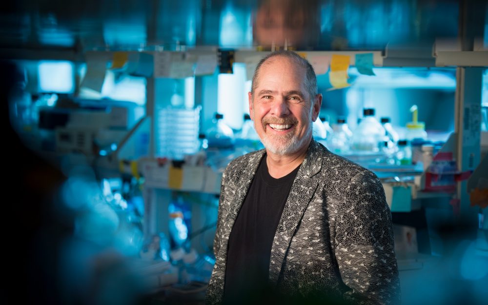 Newswise: Douglas R. Green, Ph.D., of St. Jude elected to the National Academy of Sciences