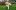Dog running in the grass in front of colorful flowers.