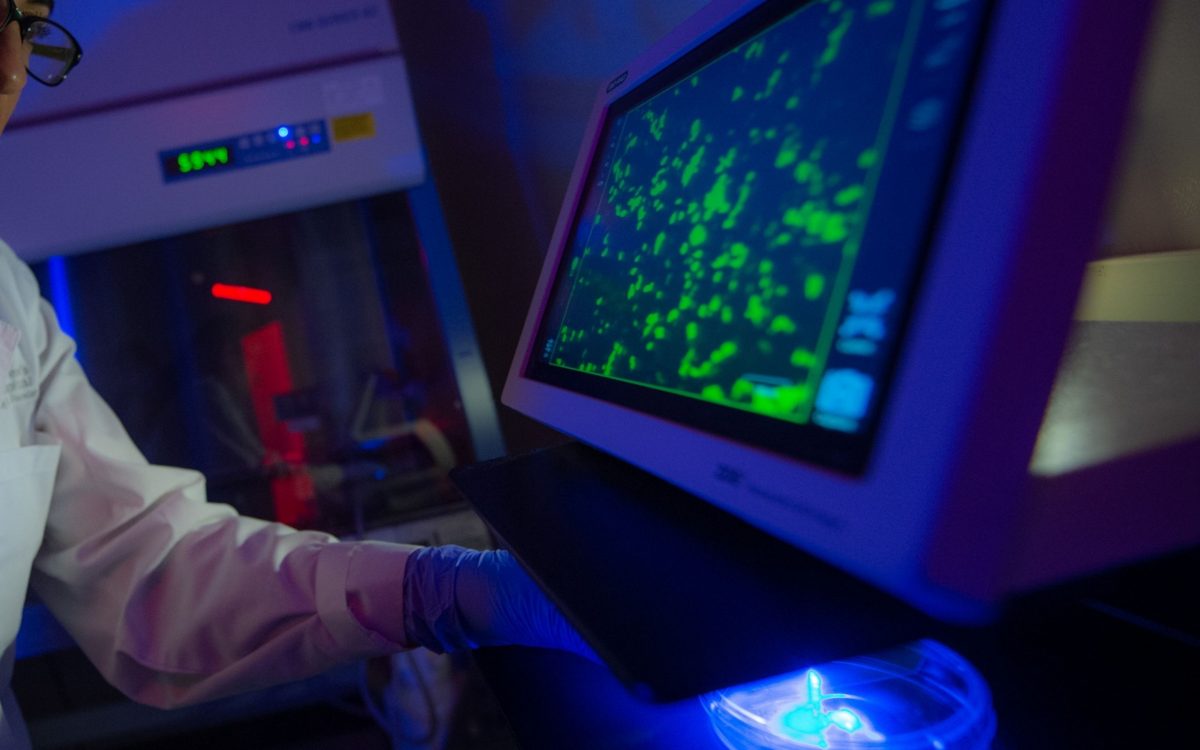 A researcher wearing a white lab coat is pointing to a large computer monitor displaying cells