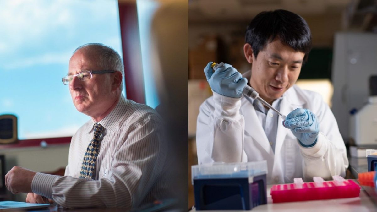 Mitchell J. Weiss, M.D., Ph.D., chair, St. Jude Hematology, and Ruopeng Feng, Ph.D., scientist, Weiss laboratory.