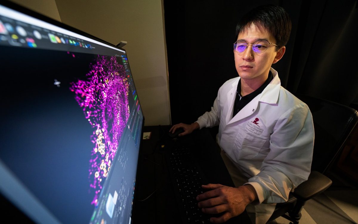 A molecular biologist, Chi-Lun Chang, looks at a computer image display in his office.