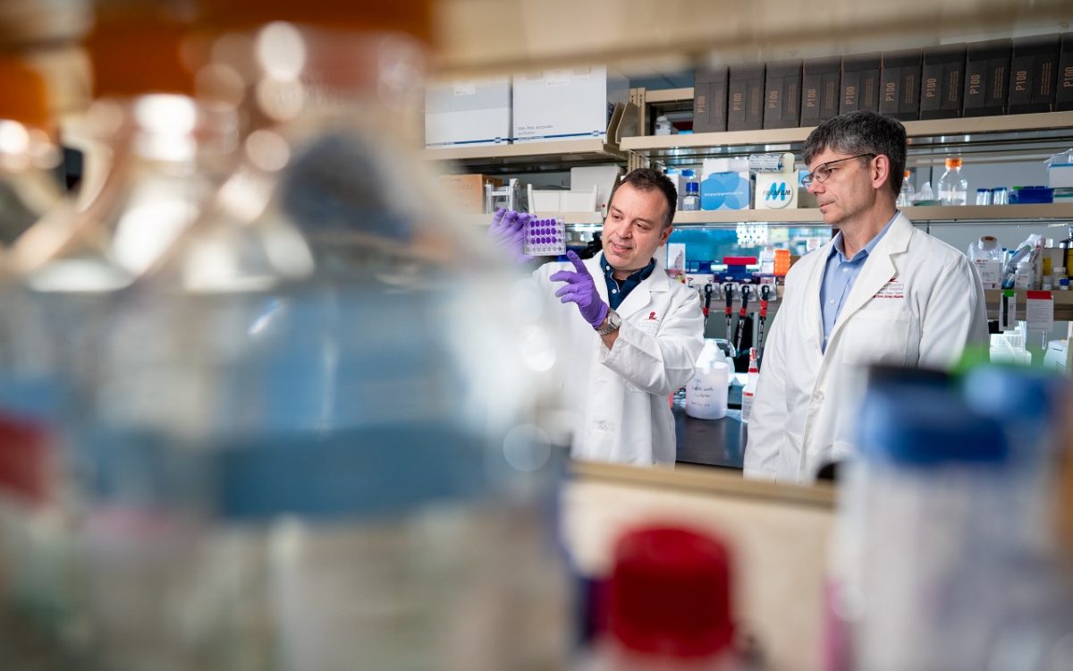 St. Jude researchers Yiannis Drosos, Ph.D., and Charles Roberts, M.D., Ph.D.