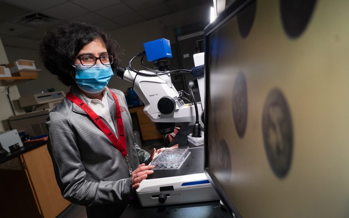 a scientist checks instruments in a crystallography lab