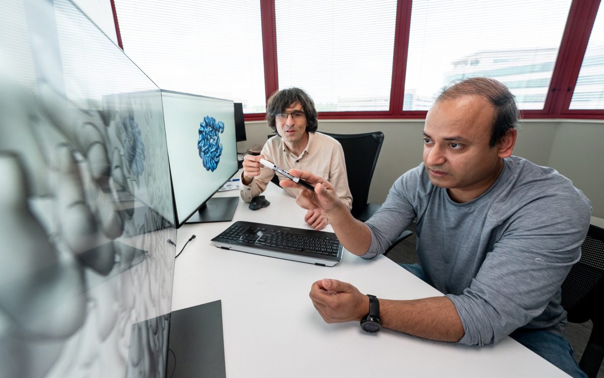 Mario Halic, PhD, and Kalyan Sinha, PhD