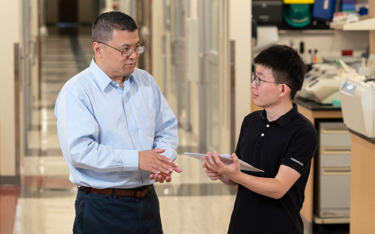 (L to R) Corresponding author Hongbo Chi, Ph.D., and first author Chuansheng Guo, Ph.D., both of the St. Jude Department of Immunology.