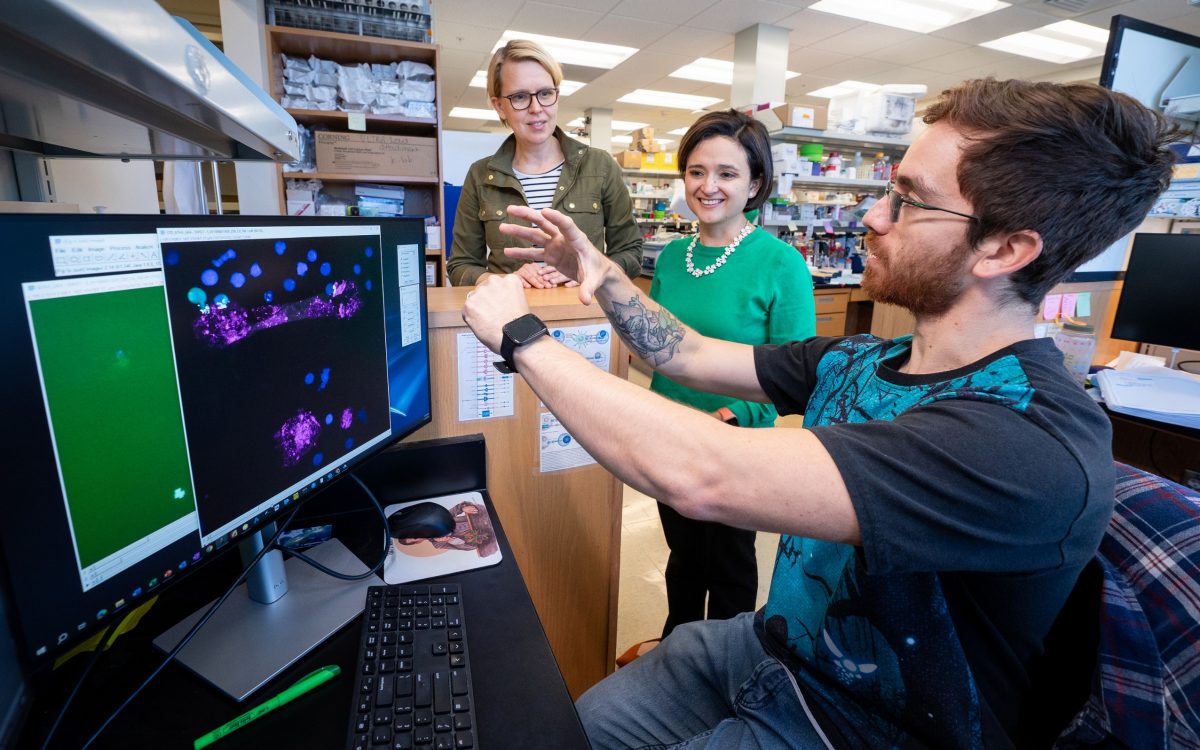 (L to R) Senior co-corresponding author Giedre Krenciute, Ph.D., co-corresponding author Paulina Velasquez, M.D. and first author Jorge Ibanez, Ph.D., St. Jude Department of Bone Marrow Transplantation and Cellular Therapy