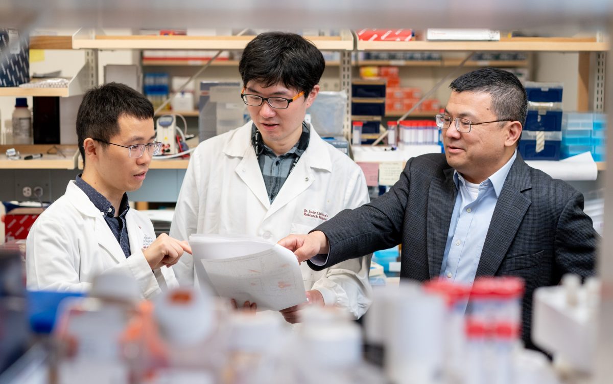 (L to R) Co-first authors Peipei Zhou, Ph.D., Hao Shi, Ph.D. and corresponding author Hongbo Chi, Ph.D., all of the St. Jude Department of Immunology.