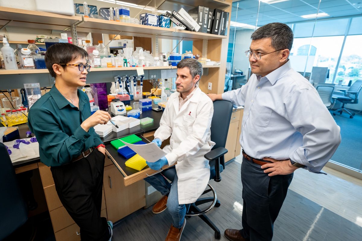 (L to R) Co-first author Wei Su, Ph.D., co-first author Jordy Saravia, Ph.D. and corresponding author Hongbo Chi, Ph.D. St. Jude Department of Immunology.