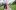 St. Jude Teen Formal creates enchanted evening for patients and guests