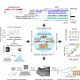 Integrated rhabdomyosarcoma database (iRDb)