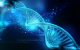 DNA helix
