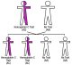 Hemoglobin C Trait