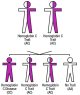 Hemoglobin C Disease