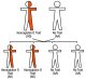 Hemoglobin D Trait