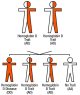 Hemoglobin D Disease